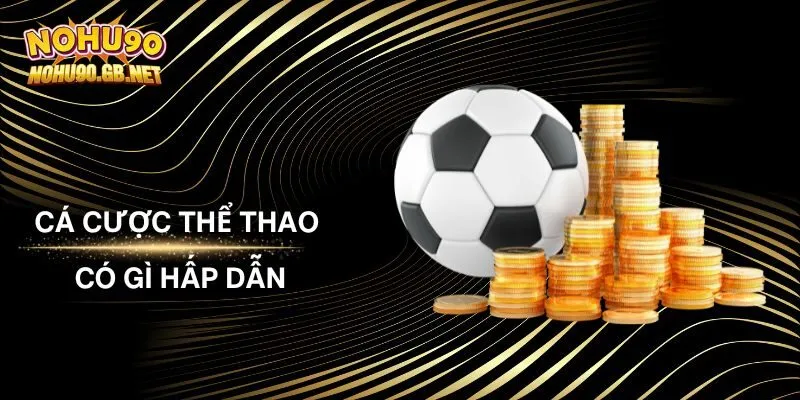 Cá Cược Thể Thao Tại Nohu90 Có Gì Hấp Dẫn? Hé Lộ Ưu Điểm