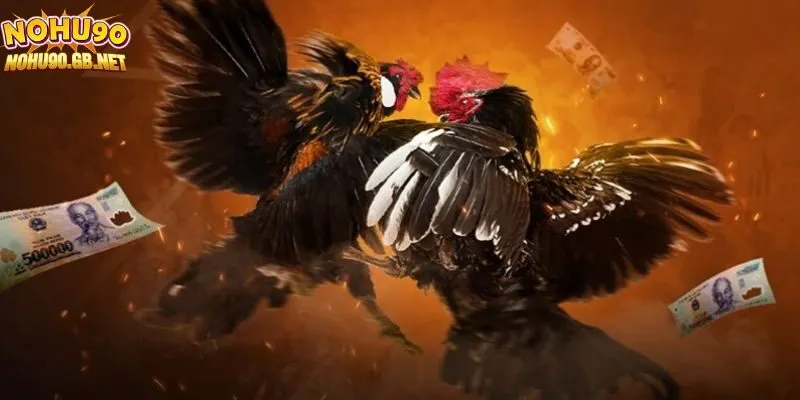 Mẹo đặt cược đá gà giúp bạn luôn thắng