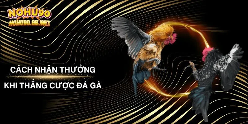 Cách Nhận Thưởng Khi Thắng Cược Đá Gà Nohu90 Mới Nhất