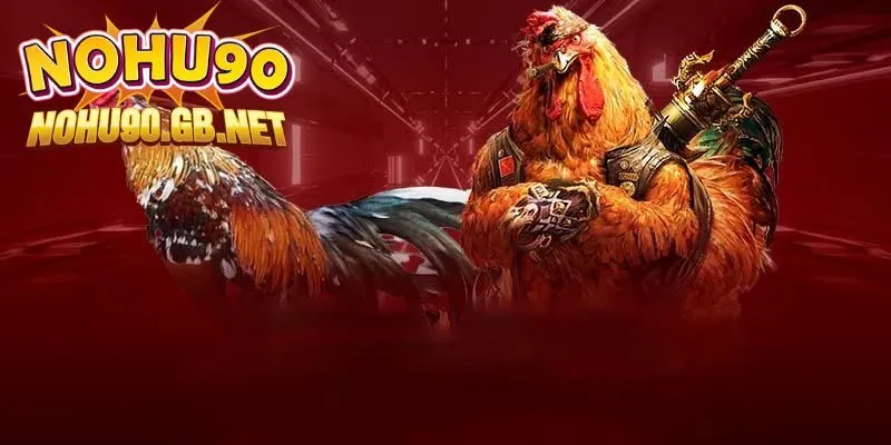 Hướng dẫn chi tiết cách thức theo dõi live đấu gà trực tuyến