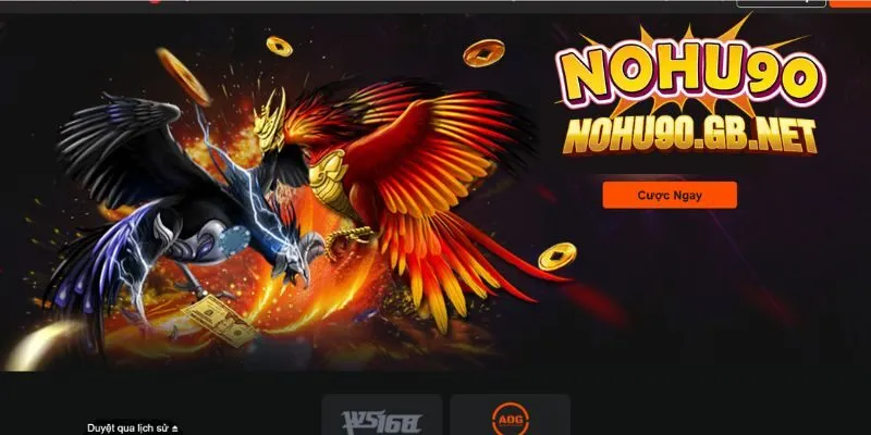 Vì sao hệ thống đấu gà này lại được đánh giá cao như thế?